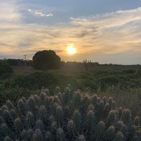 povoado_pau_de_colher