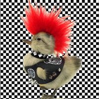 legiondelpunk