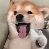 原聲 - 音樂播放器