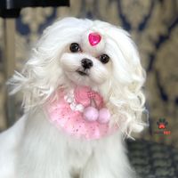bijoupet