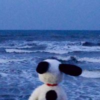 Absurdamente enamorados