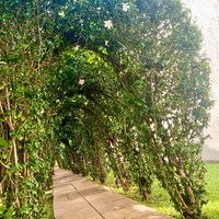 nv.fort.lugard.hotel