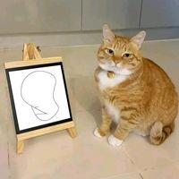tiktokmemes101