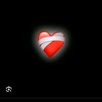 musicvip499