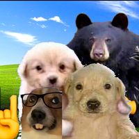 borralacuenta.posting