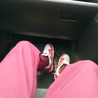 bachiro_fernando