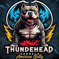 julio_tdh_kennels