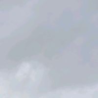 gudielito46