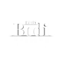 bodidiab221