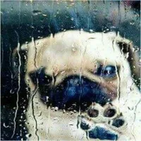 original sound - rrrrrrrrrzzz.__