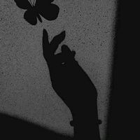 _aly_rodriguez