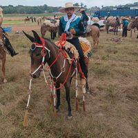 8312811088174cabelimwr