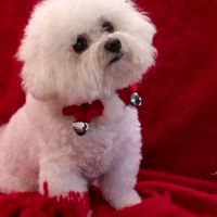 original sound - Katexox