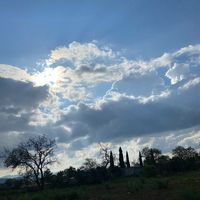 lupita_hr0099