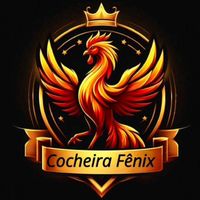 jrstudio.fenix