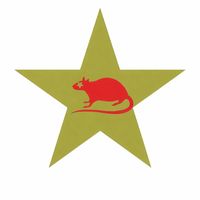shopratstar