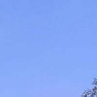 klztr2