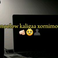 qamaryanaye12