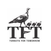 tftforturkeys