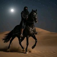 hakim01768