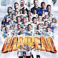sou_botafogo_