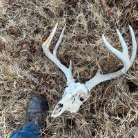 918sereneoutdoors