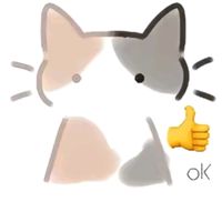 nelly_rblx5