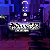 original sound - q.piano.q25