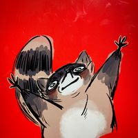 red.racc.draws