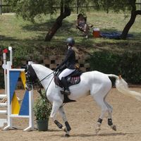 chanel__equestrian