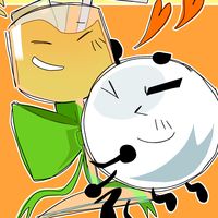 ilovesnowballbfdi