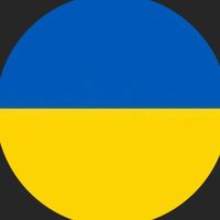 _.boritozxlewa
