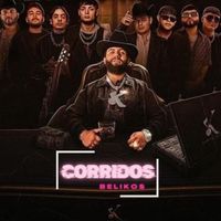 El cisne Miguel y Miguel