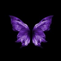 valencia_lpld24
