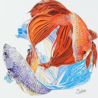 solerart