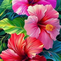 original sound - mirabelinda3