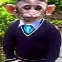 ilovemonkey1239