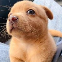 5ymedio.mazna
