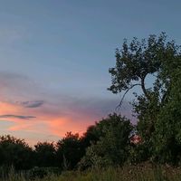 оригинальный звук