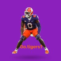 go.tigers1
