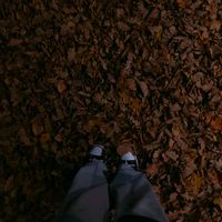 TikTok Account - https://p16-common.tiktokcdn-eu.com/tos-maliva-avt-0068/5dcc840b228f773d60d360e34d2751cd~tplv-tiktokx-cropcenter:200:200.jpeg