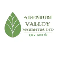 original sound - adeniumvalley