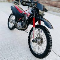 felpz490