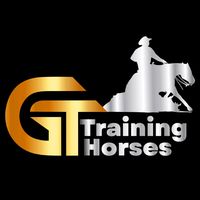 guilhermetavares1185