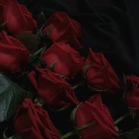 _queen.rose.productions_