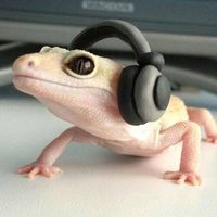 original sound