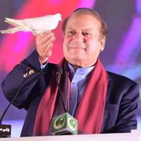 naqashrajpootpmln8