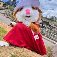 negocios_grupo_piguma