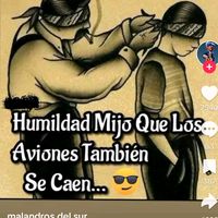 frases503_sv
