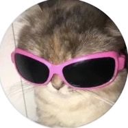 TYSM FOR 1000 USES OMG